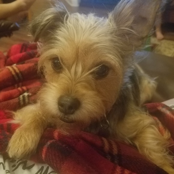 Meet your Posher, Aileen - Picture 5 of 9